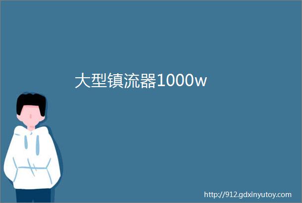 大型镇流器1000w