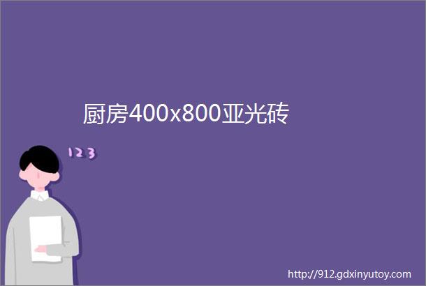 厨房400x800亚光砖