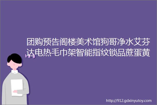 团购预告阁楼美术馆狗哥净水艾芬达电热毛巾架智能指纹锁品蔗蛋黄酥玻妞擦窗机器人